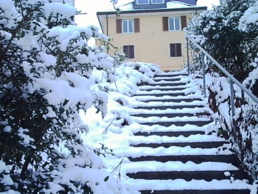 Snow-covered outdoor staircase leading uphill toward a yellow residential building, with snow-laden shrubs and trees on both sides, metal handrails partially visible, and compacted snow on each step under overcast winter light.