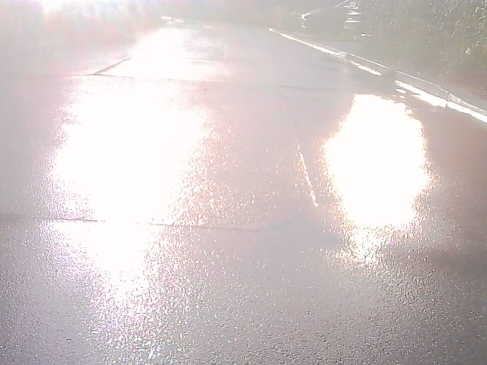 Wet asphalt reflecting bright sunlight after rain, with strong glare and soft reflections stretching across the road.