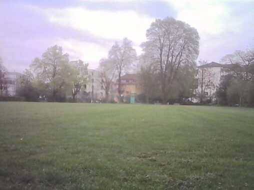 Wide grassy meadow under a cloudy sky, with trees and residential buildings in the background.