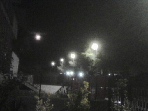 Warmly lit pathway lined with trees and vegetation at night, with streetlights receding into the distance.