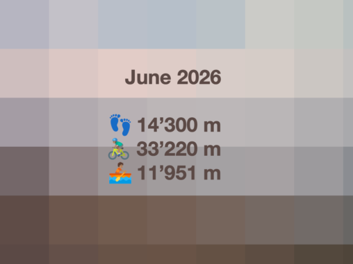 Title card titled “June 2026” showing monthly activity totals: 14'300 meters walked, 33'220 meters cycled, and 11'951 meters rowed, displayed over a soft grid of muted blues, greys, taupes, and beige tones.